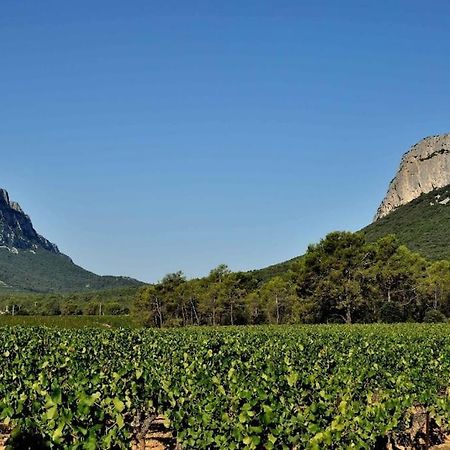 Gite Du Pic Saint Loup Valflaunes Exterior foto